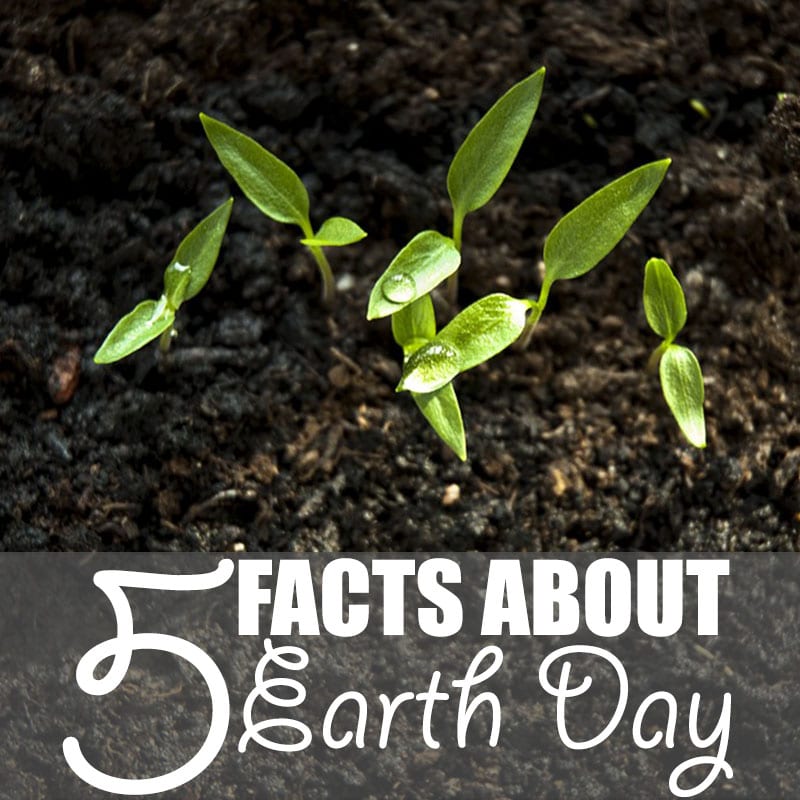 facts-about-earth-day-5-facts-about-earth-day-by-of-houses-and-trees