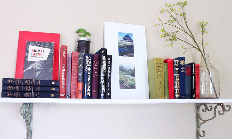 Small home library using a shelf lined with classic novels.