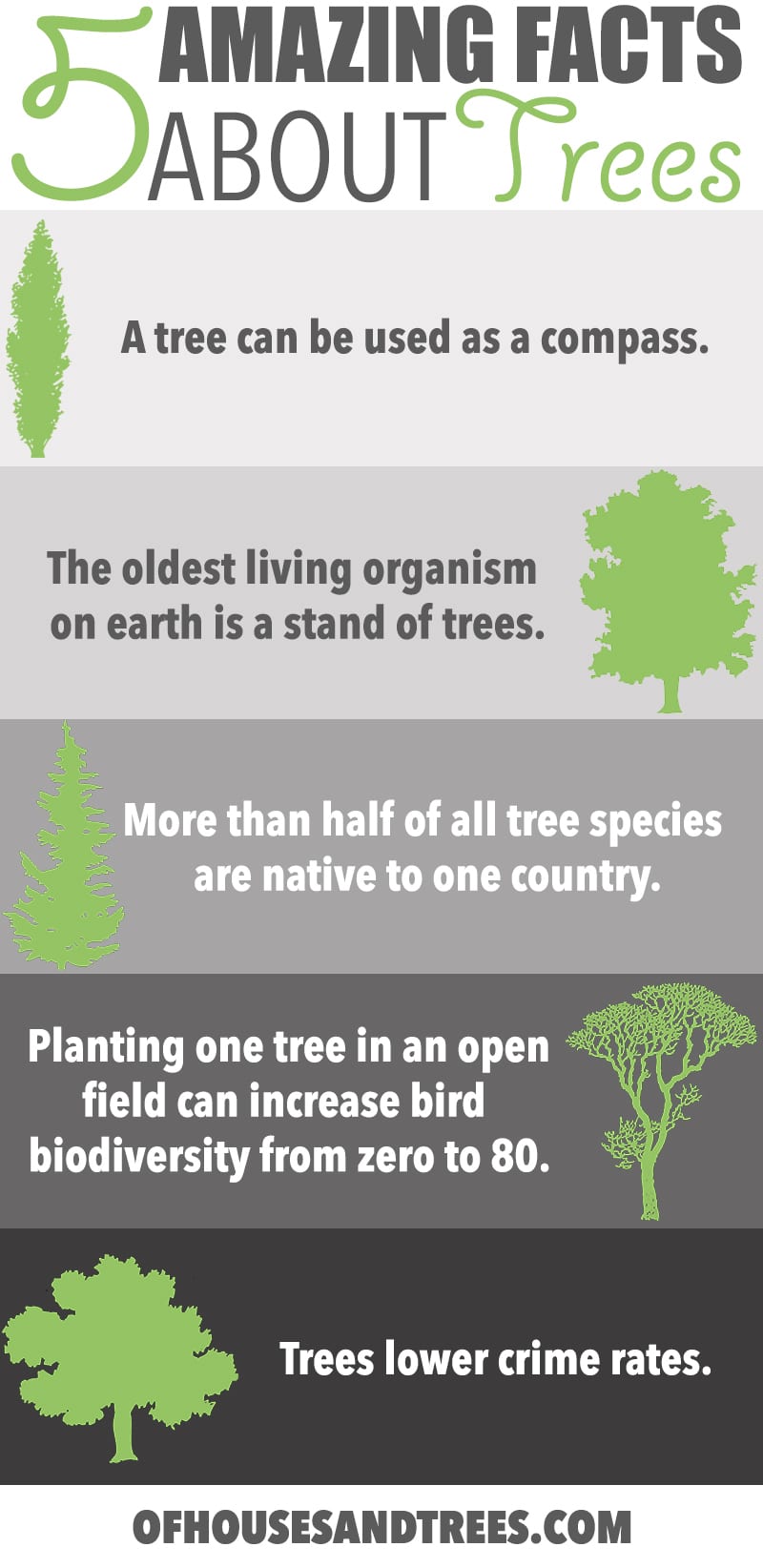Amazing Facts About Trees | Five amazing facts about trees! Did you know a tree can be used as a compass, fight crime and increase bird biodiversity from zero to 80 species?