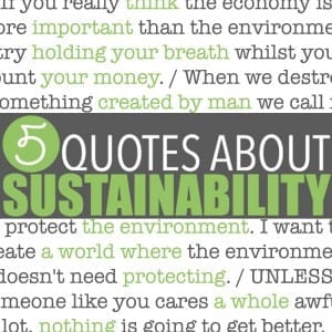 Five sustainability quotes superimposed over images of mountains, forests and a child hugging a very large tree. Cheesy? Perhaps. True? Hell yes. But hopefully they help inspire you to incorporate a few green living tips into your life.