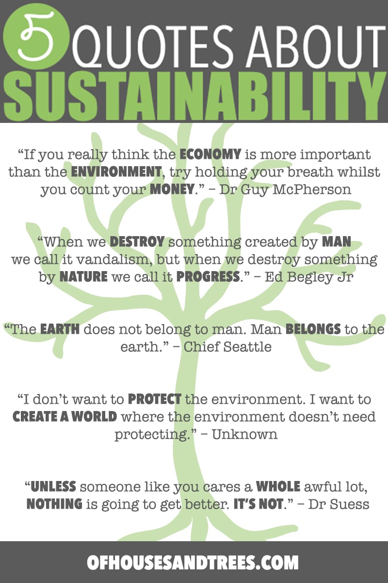 Sustainability Quotes | Five sustainability quotes superimposed over images of mountains, forests and a child hugging a very large tree. Cheesy? Perhaps. True? Hell yes.