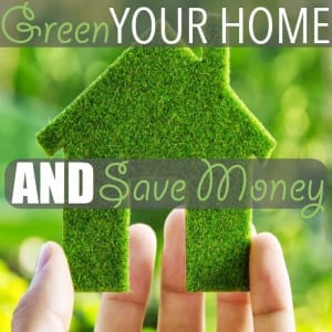 Here are five green living tips you can practice in your home that will also save you a few dollars, including shopping secondhand, cleaning with vinegar and... sharing!