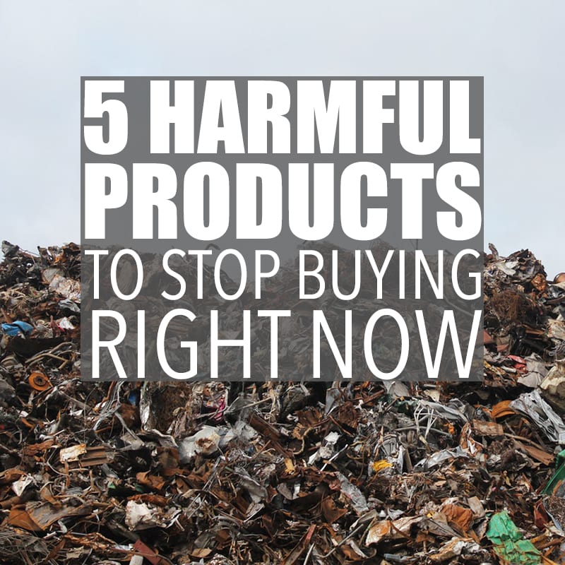 unsustainable-products-by-of-houses-and-trees-5-harmful-products-to-stop-buying-right-now