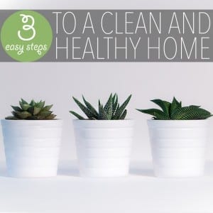 Whether you want to protect your family from chemicals or to do your part greening our planet - these are both great reasons to create a healthy home!