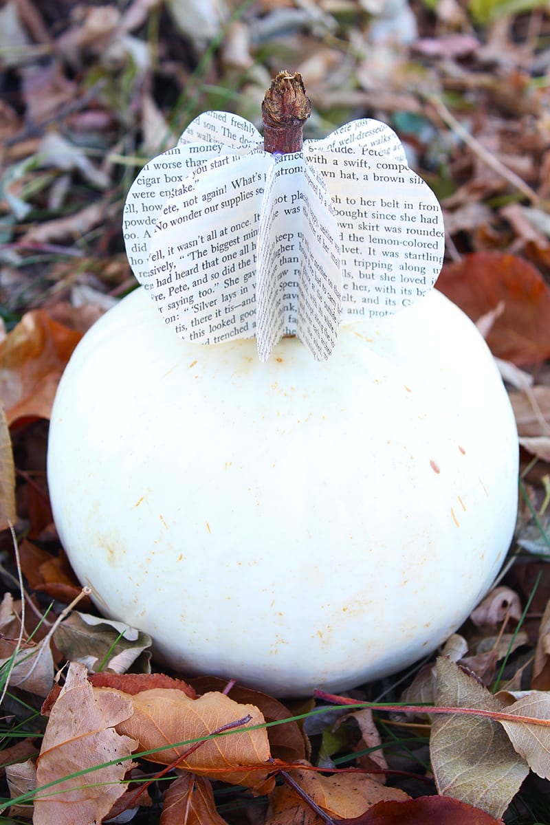 Fall is the time of year for DIY pumpkin crafts! If you want to keep it simple, this project is for you. Make a DIY paper pumpkin from old book pages and display with pride!