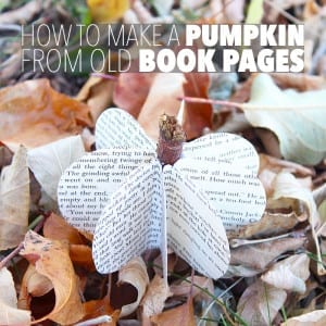 Fall is a time of colourful leaves, crisp air, harvests and... DIY pumpkin crafts! Here's how to make a pumpkin from old book pages. Happy Autumn!