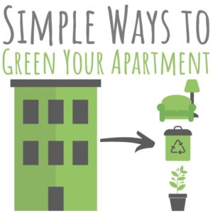 Greening an apartment isn't all that different from greening a house. Check out these green living tips that are simple, affordable - and fun!