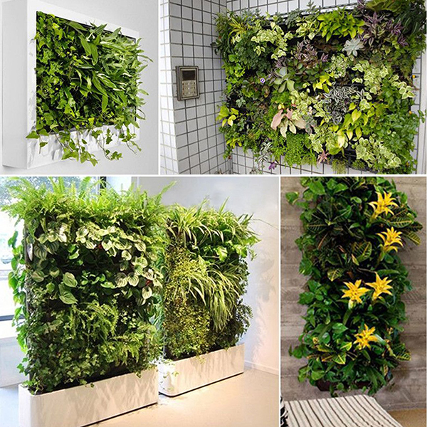 Greening an apartment isn't all that different from greening a house. Try out these eco-friendly apartment ideas, such as a vertical garden. It's a great way to grow your own organic food - all while helping to purify your apartment's air.