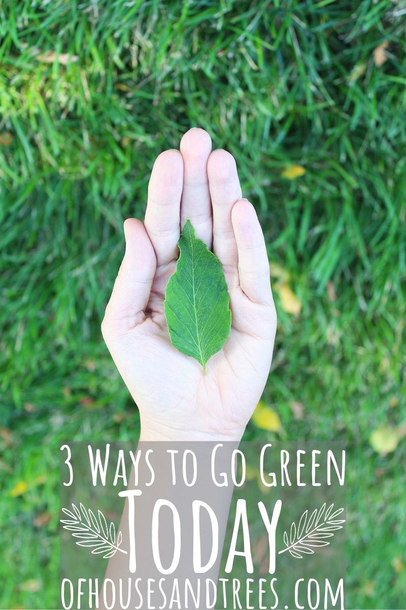 Being green isn't about being perfect. It's about trying to do a little bit better every day. Here are three simple things you can do to get started - right now!