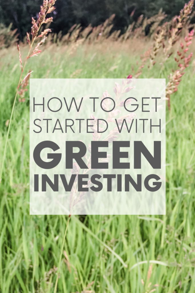 Green bonds are one of the most low-risk forms of green investments. If you want to help create a more sustainable future, green bonds may be for you.