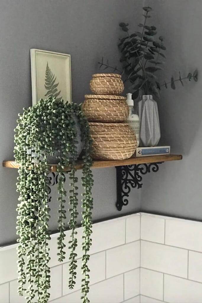 Plants and woven baskets on a bathroom shelf.