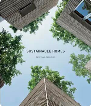 Book cover for Sustainable Homes.