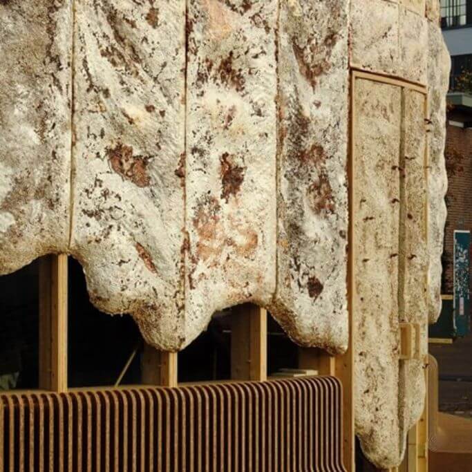 Mushroom-based insulation in a wooden stud wall.