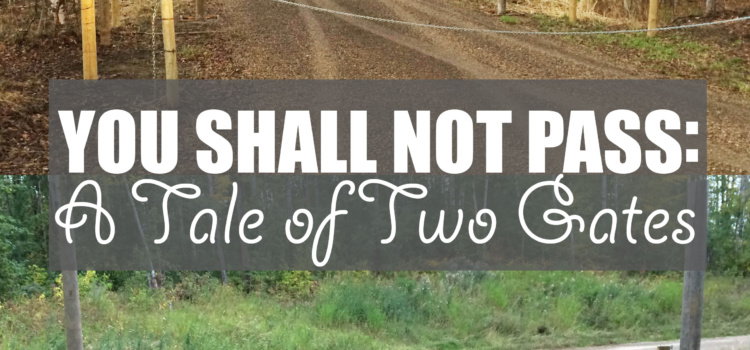 You Shall Not Pass: A Tale of Two Gates