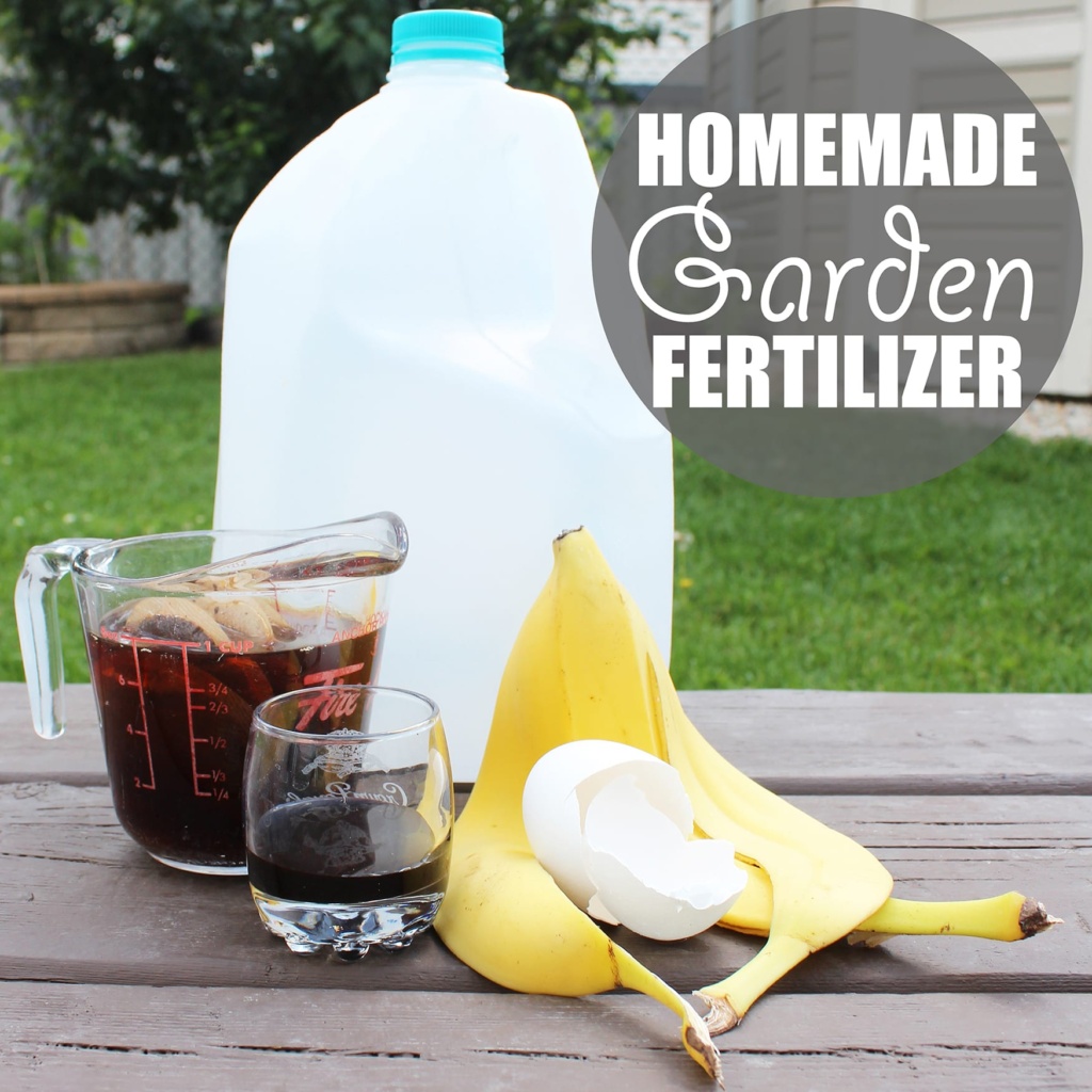 all-natural-fertilizers-best-homemade-garden-solutions-the-whoot