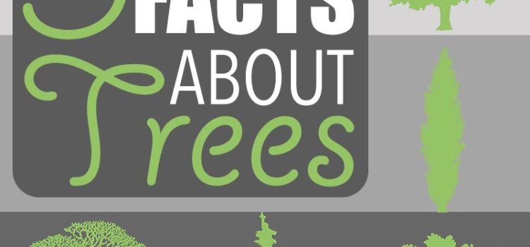 Five amazing facts about trees! Did you know a tree can be used as a compass, fight crime and increase bird biodiversity from zero to 80 species?