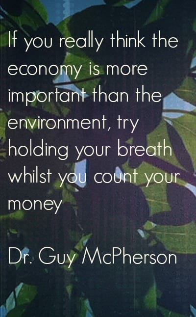 Sustainability Quotes: 