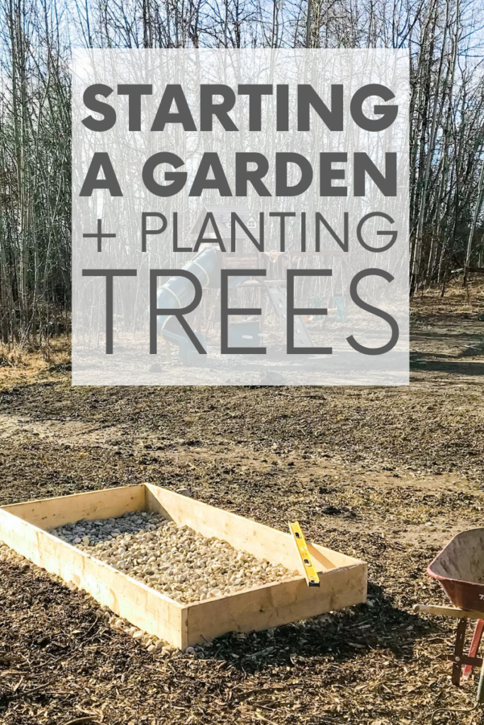 Always dreamed of starting a garden? Me too! Which is why it was the first project we tackled after moving into our sustainable home. Check it out!