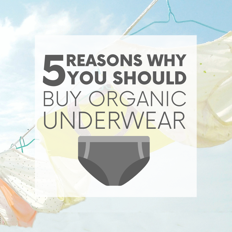 Organic Underwear  5 Reasons Why You Should Buy Organic Underwear