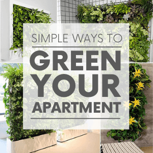 Various images of indoor wall gardens with the words "simple ways to green your apartment." Click to visit post.