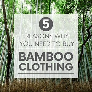 A bright green bamboo forest with the words "5 reasons why you need to buy bamboo clothing." Click to visit post.