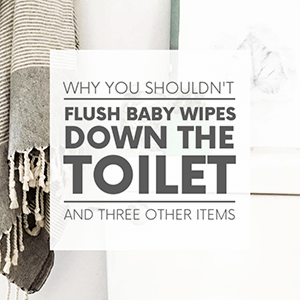 A closeup of a toilet with a piece of leaf artwork sitting on top and a grey and white striped towel hanging next to it with the words "why you shouldn't flush baby wipes down the toilet - and three other items." Click to visit post.