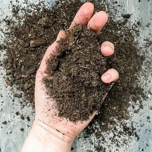 A hand holding fresh compost.