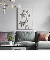 A black and white botanical art print above a grey-green couch.