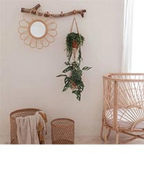A hanging plant in a nature-inspired nursery.