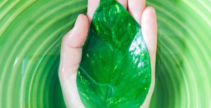 A hand submerged in water holding a green leaf.