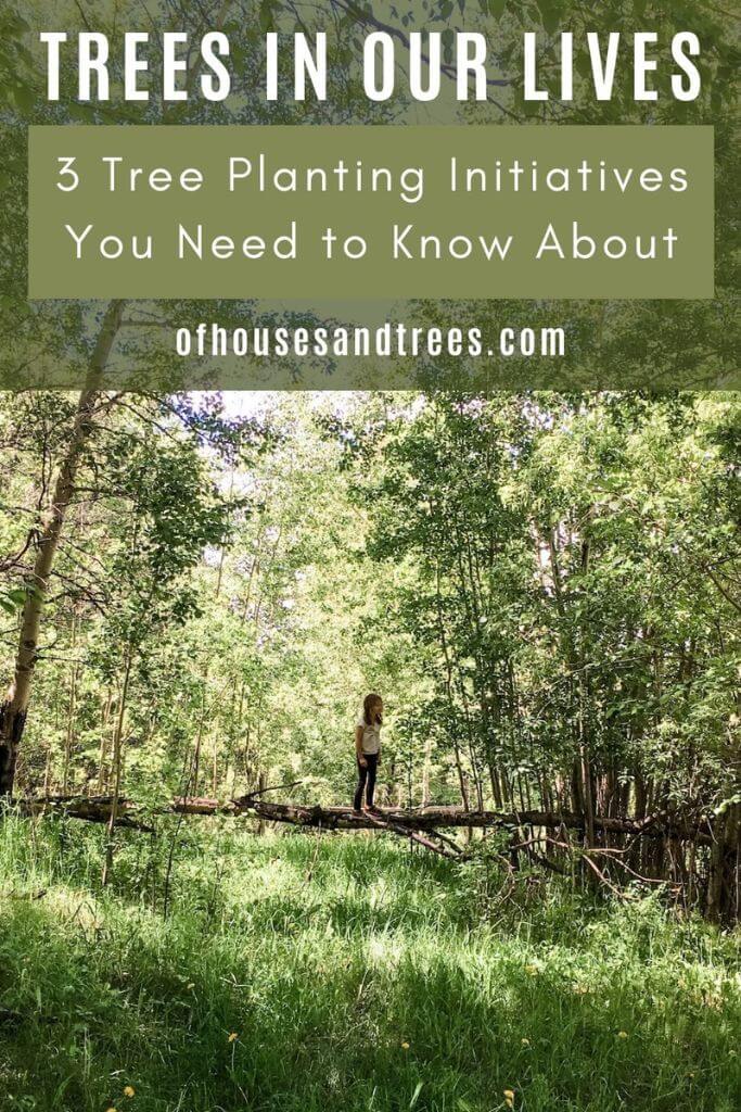 A little girl standing on a fallen tree in a forest with text trees in our lives 3 tree planting initiatives you need to know about.