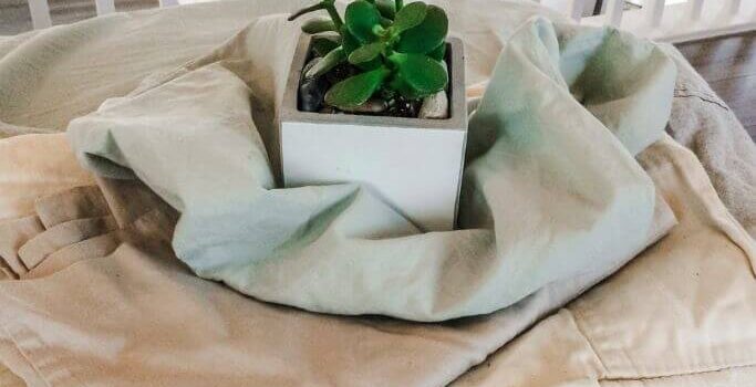 A small plant in a white pot sitting on a pile of folded bedsheets.