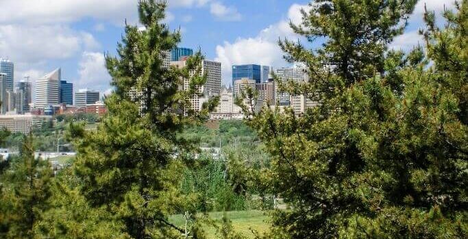 City of Edmonton skyline with trees in the foreground.