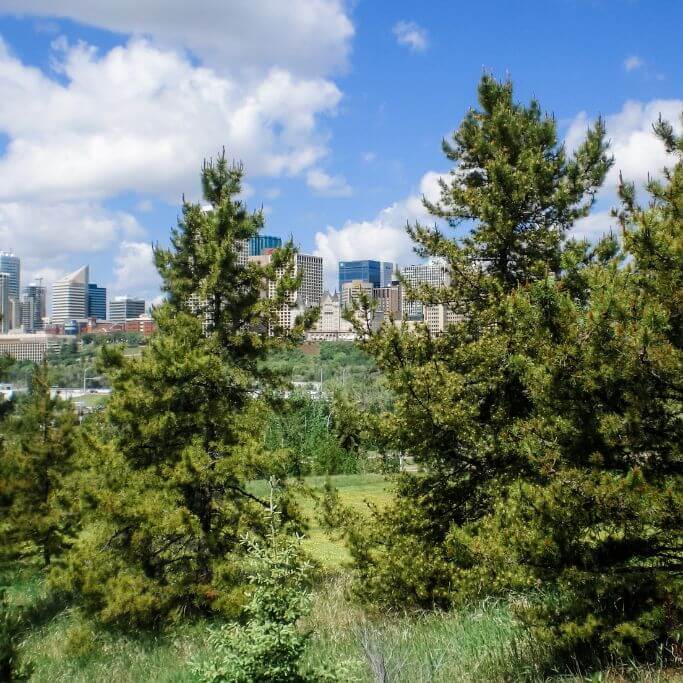 City of Edmonton skyline with trees in the foreground.