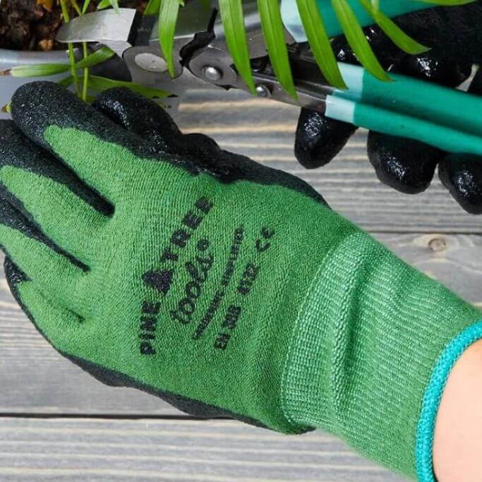 Closeup of a pair of hands wearing garden gloves and pruning a plant.