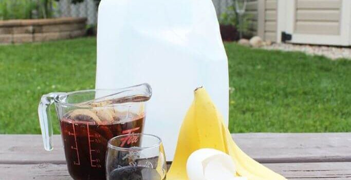 An empty plastic jug, a measuring cup filled with tea bags, a small cup of molasses, a banana peel and an eggshell sitting on a wooden deck in a backyard.