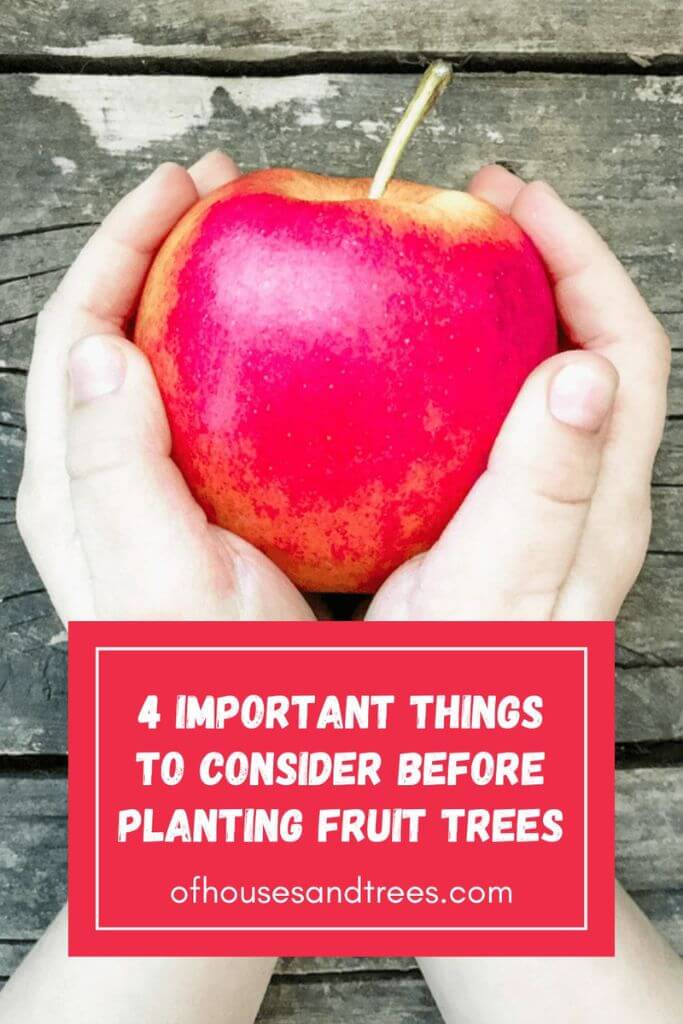 A pair of small hands holding a red apple with text 4 important things to consider before planting fruit trees.