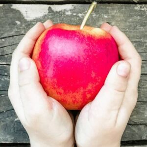 A pair of small hands holding a red apple.