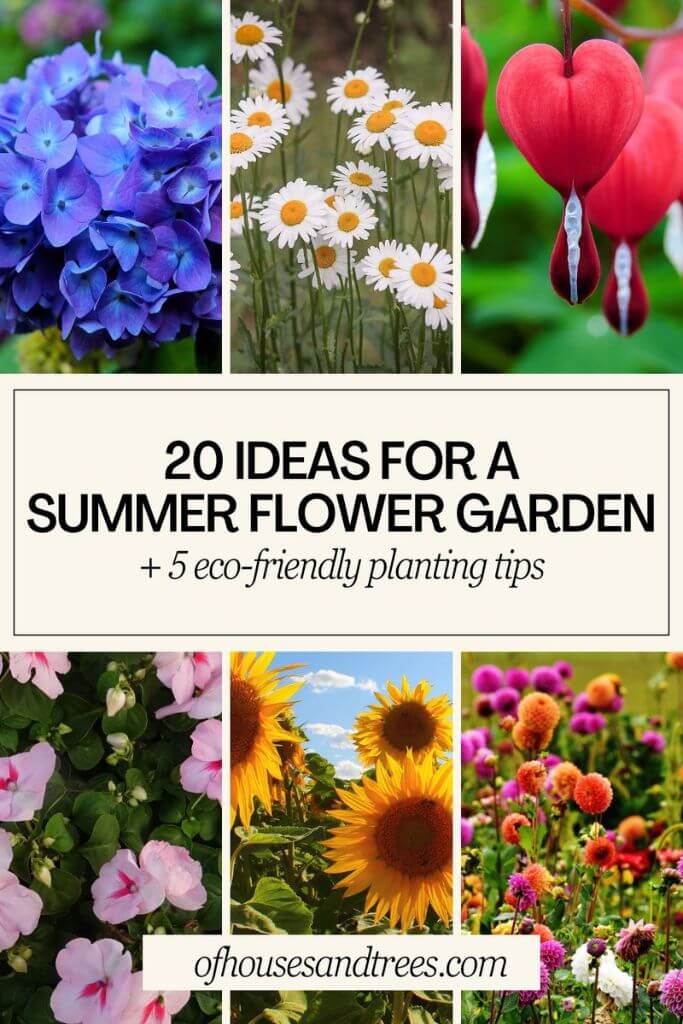 Six different photos of flowers with txt "20 ideas for a summer flower garden."