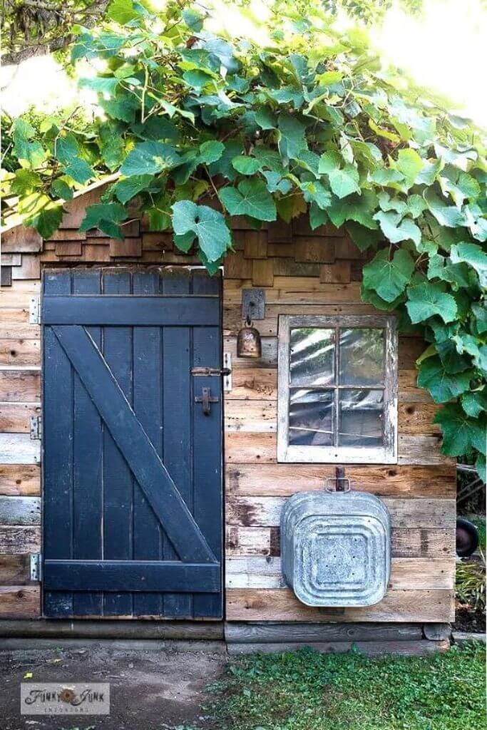 A wooden shed with a painted black door and ivy growing on the roof.