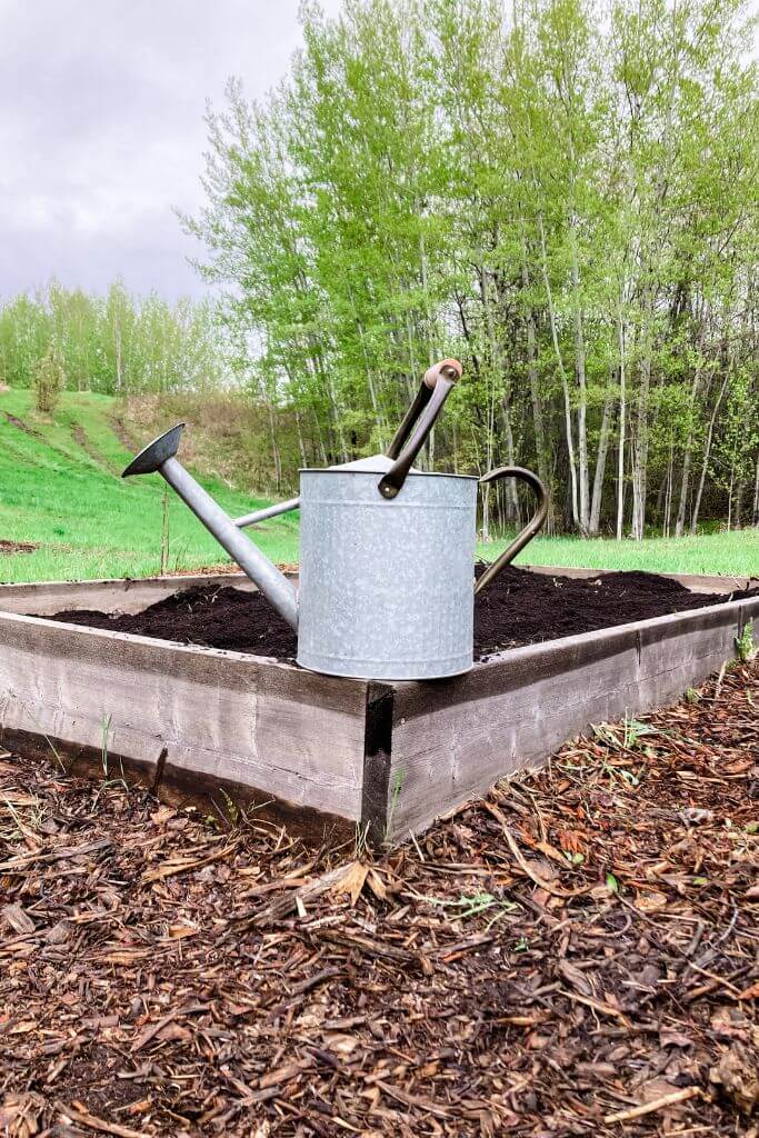 A metal watering can sitting on the edge of a wooden raised garden bed.