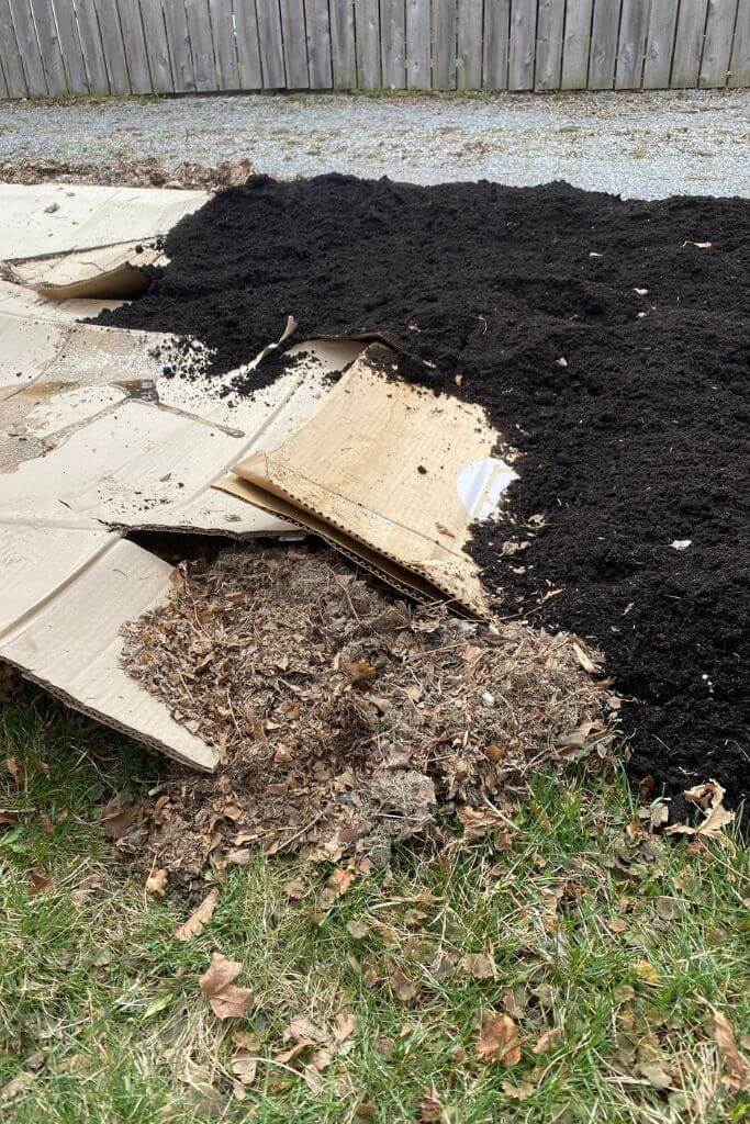 A layer of dried leaves on top of grass covered with cardboard and then soil.