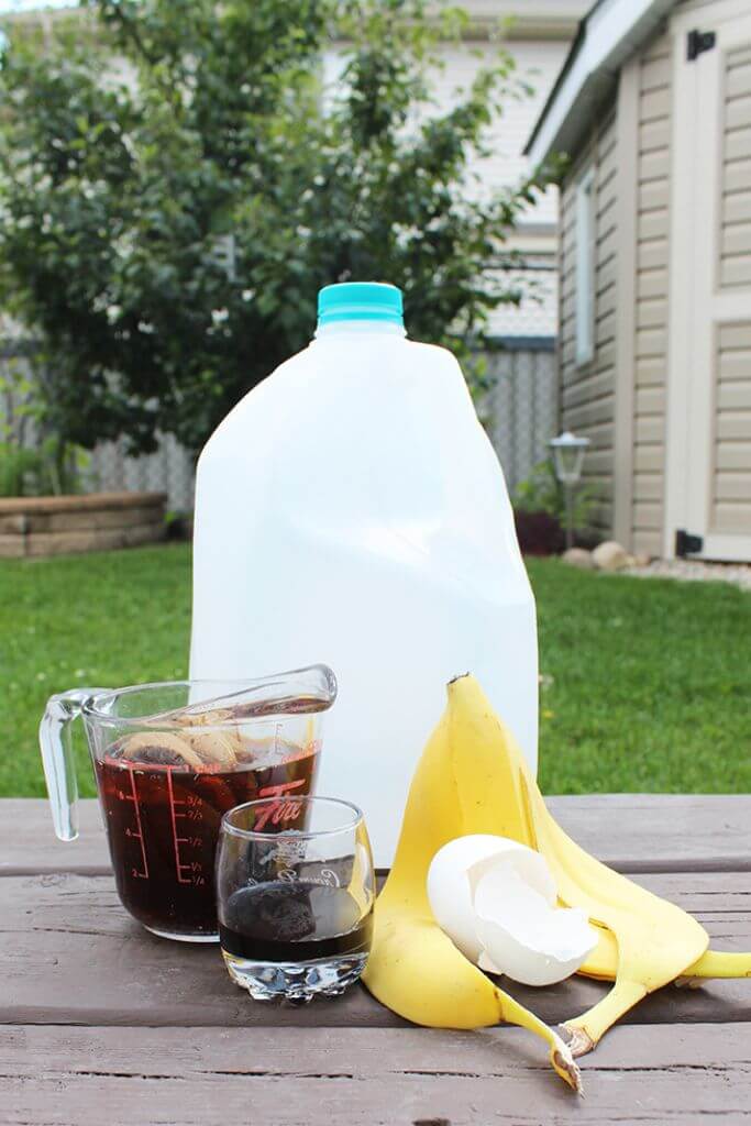 An empty milk jug sitting on a deck beside ingredients for homemade garden fertilizer.