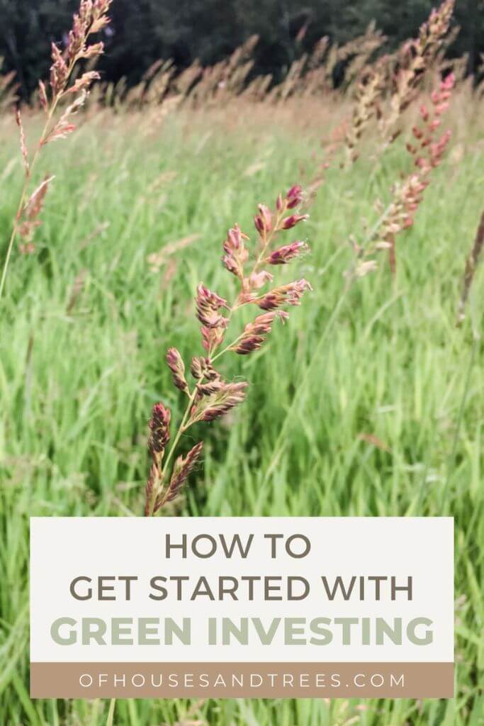 A field of tall green grass with pinkish-purple sprouts and text how to get started with green investing.