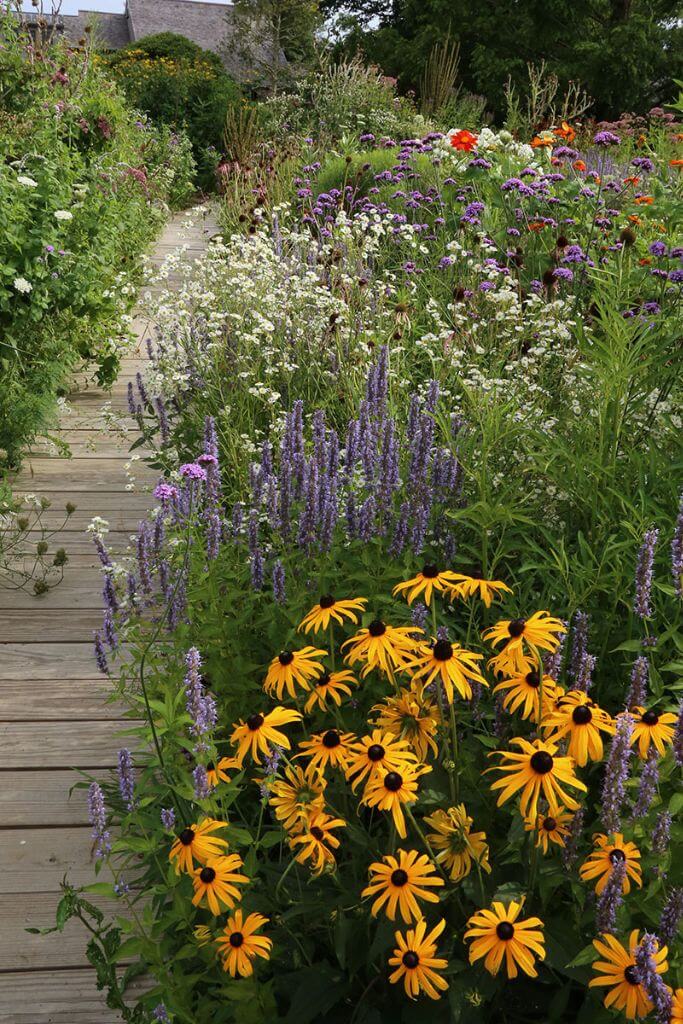 A wildflower garden next to a wooden pathway.