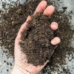 A hand holding fresh compost.