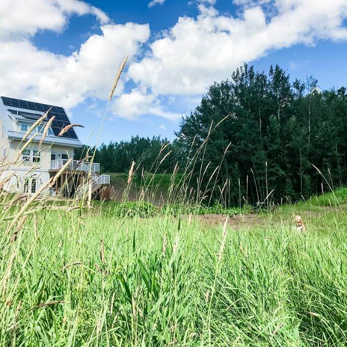 A green field with a yellow house with solar panels on the roof in the background.