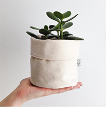 A small fabric planter sitting in the palm of someone's hand.